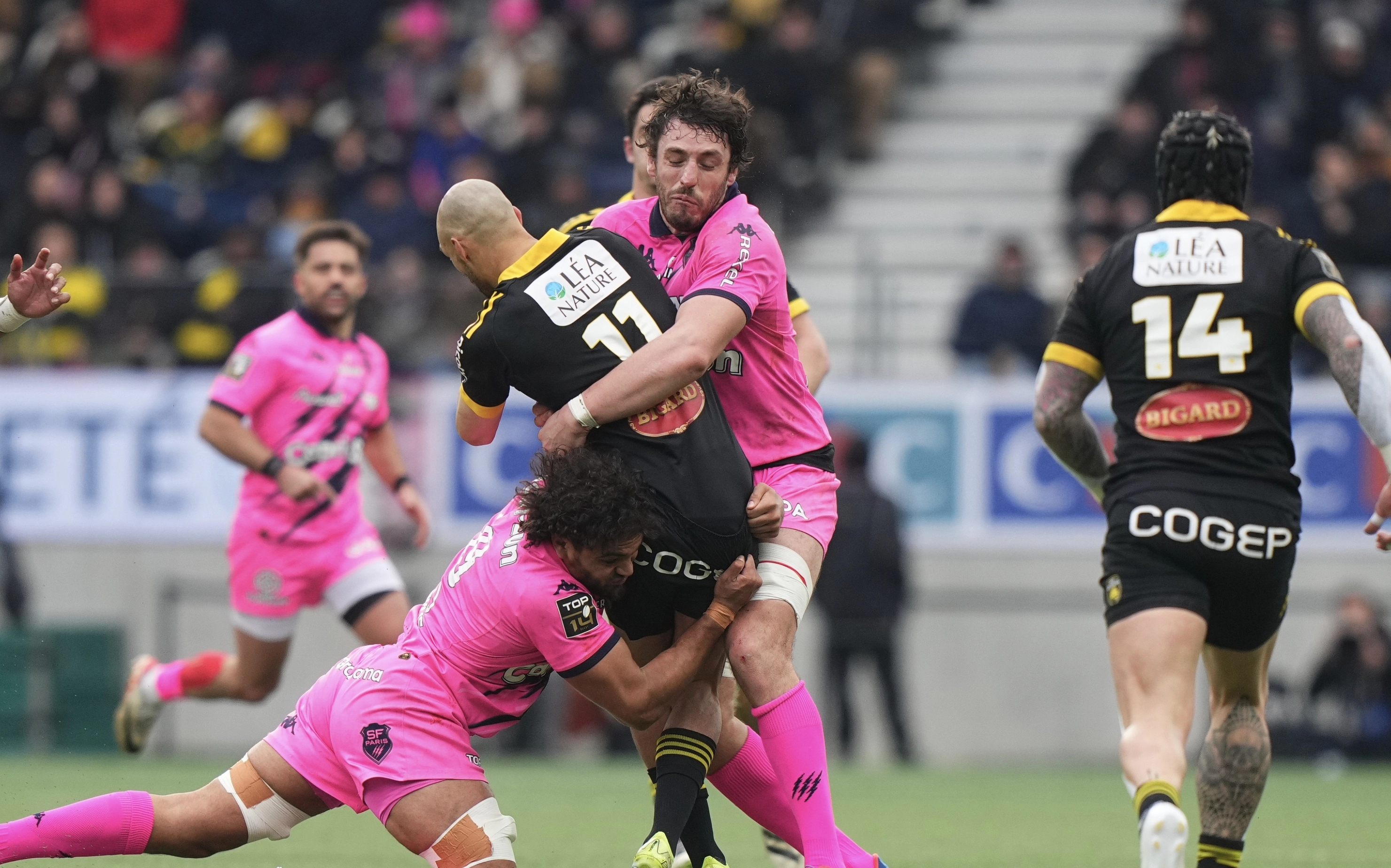 Comment la presse a jugé les joueurs du Stade Rochelais face au Stade Français (Les notes)