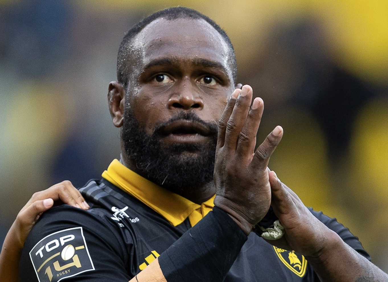 La bonne nouvelle pour Levani Botia et le Stade Rochelais avant la réception de Vannes !