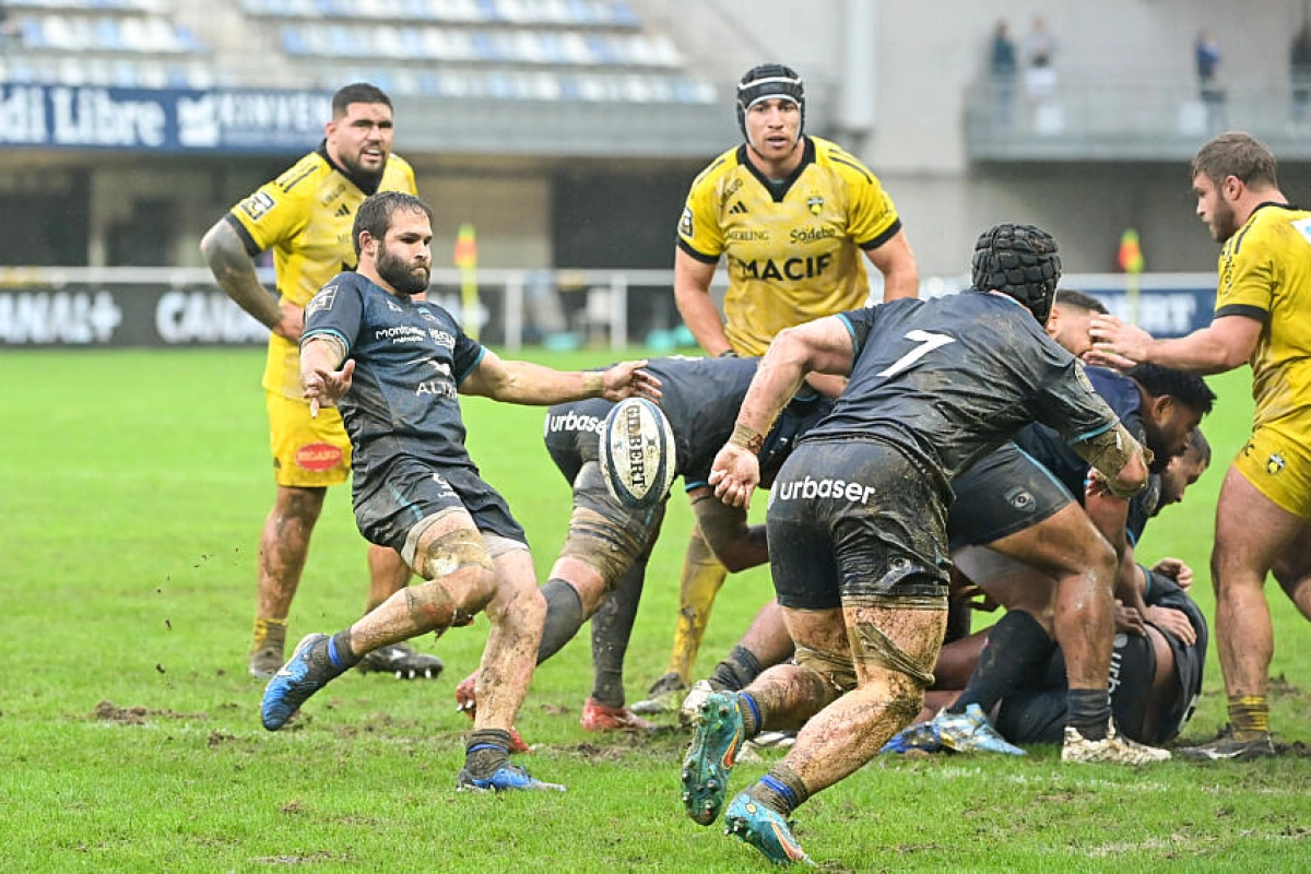 Montpellier Stade Rochelais : Les réactions des joueurs et staff
