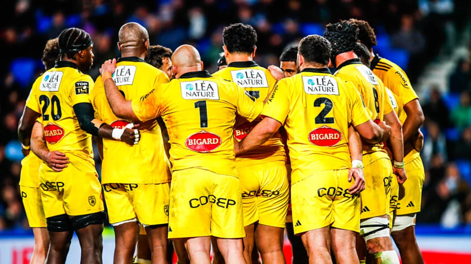 Newcastle - La Rochelle : Quelle heure et quelle chaine pour voir le match de Challenge Cup samedi