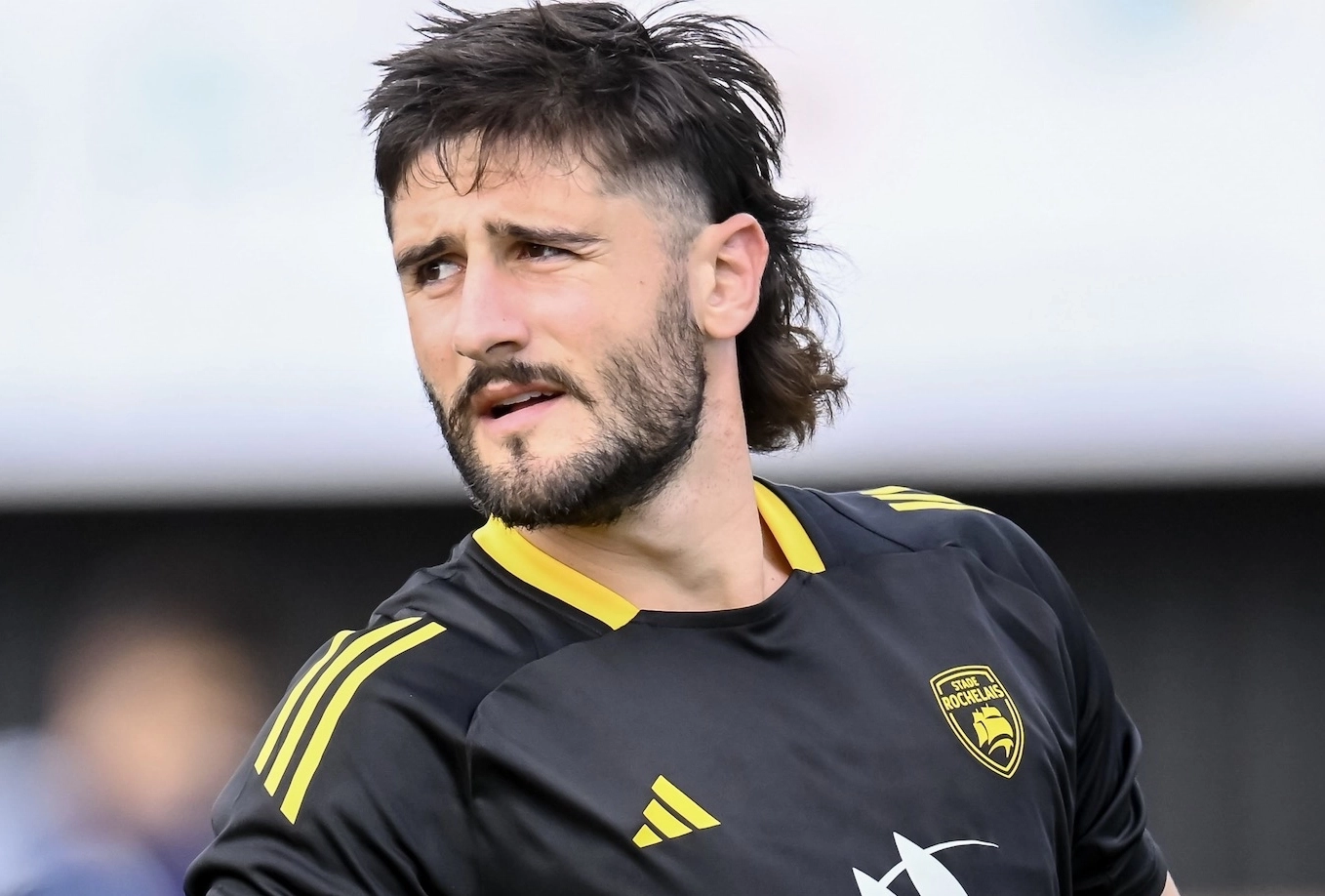 Stade Français - La Rochelle : 