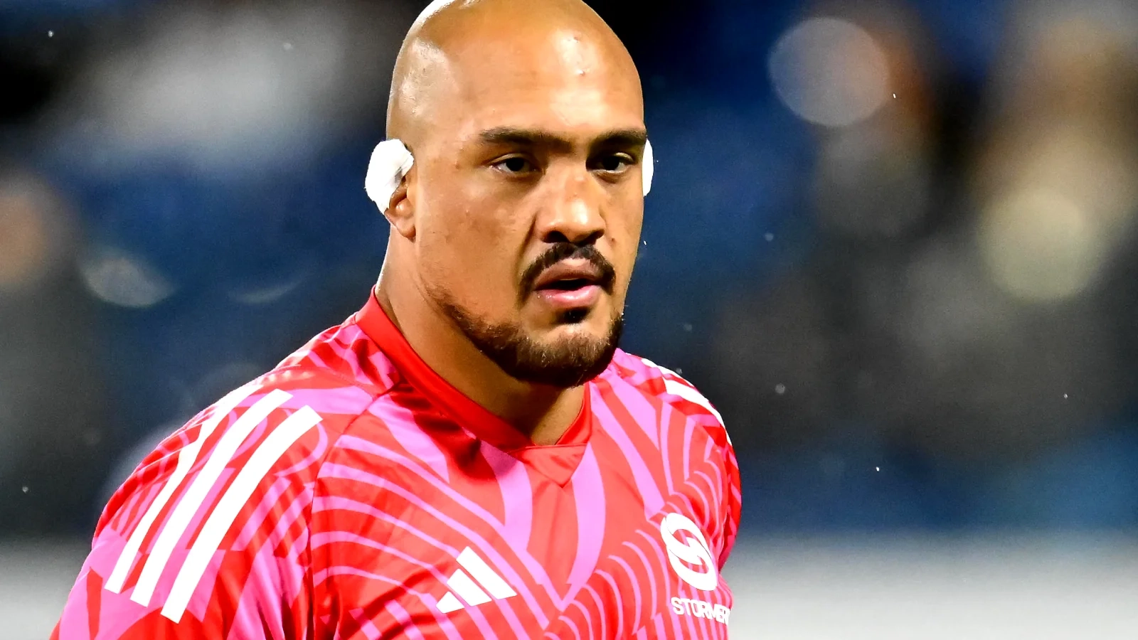 Stade Rochelais : Deux Sud-Africains dans le viseur, dont le capitaine des Stormers Salmaan Moerat