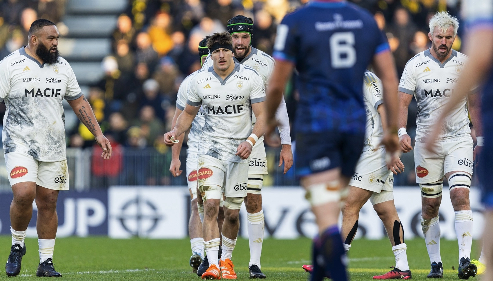 Stade Rochelais : Les enjeux dans la poule 2 de Champions Cup !