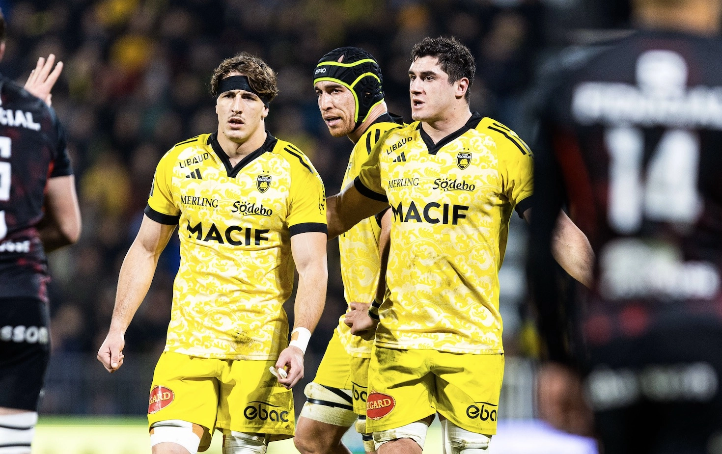 Stade Rochelais : Les internationaux de retour pour l'important match contre Castres ?
