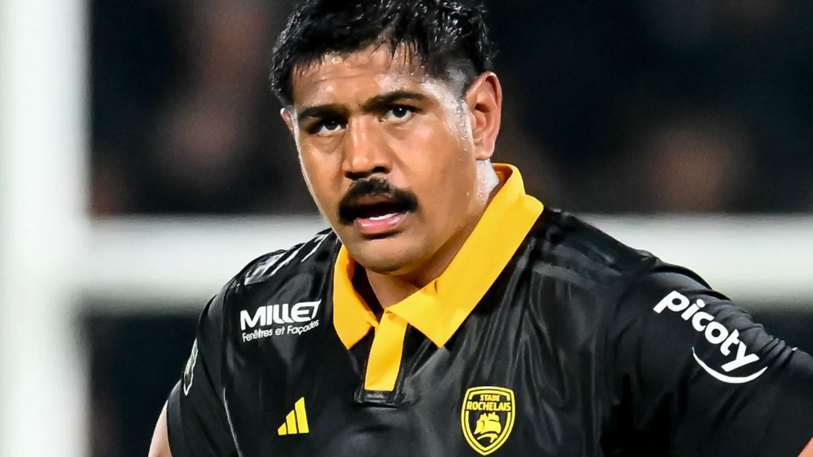 Stade Rochelais : Les premières infos sur la grave blessure de Will Skelton, Botia et Niniashvili aussi touchés