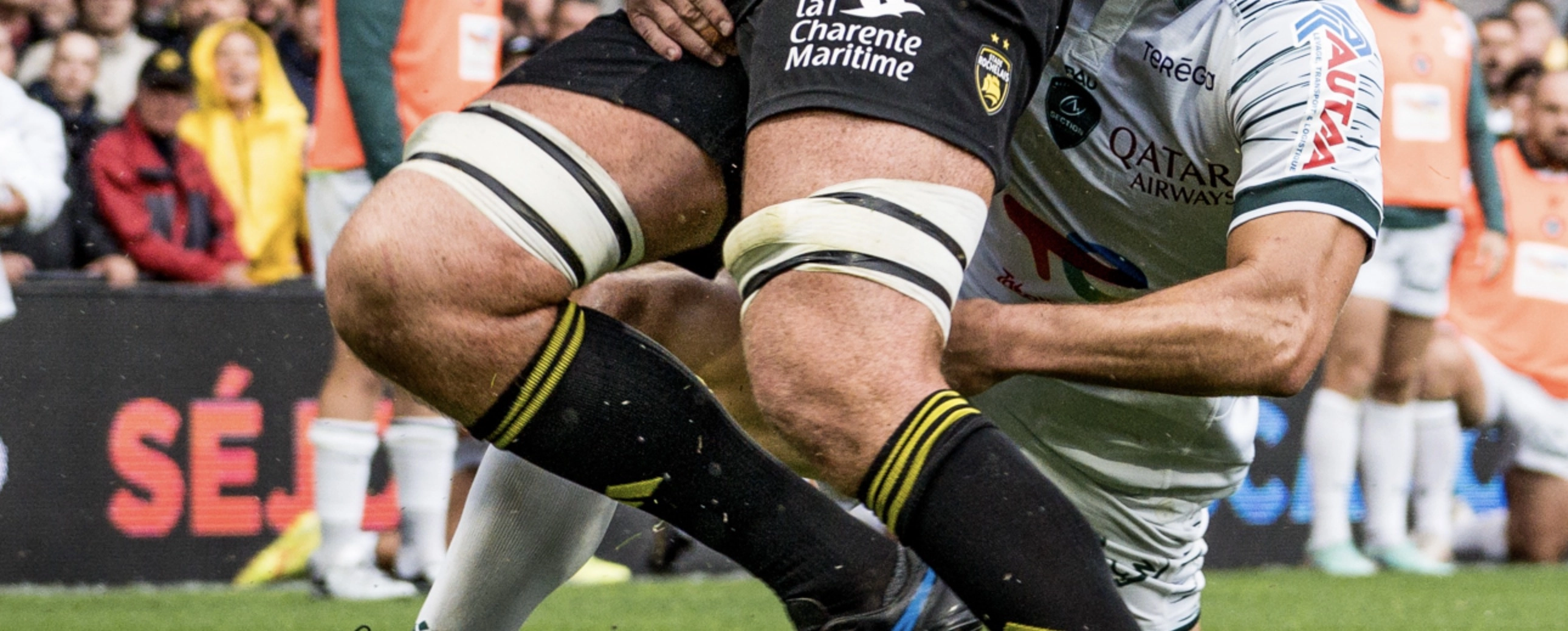 Stade Rochelais Pau : Les réactions du côté de la Section Paloise