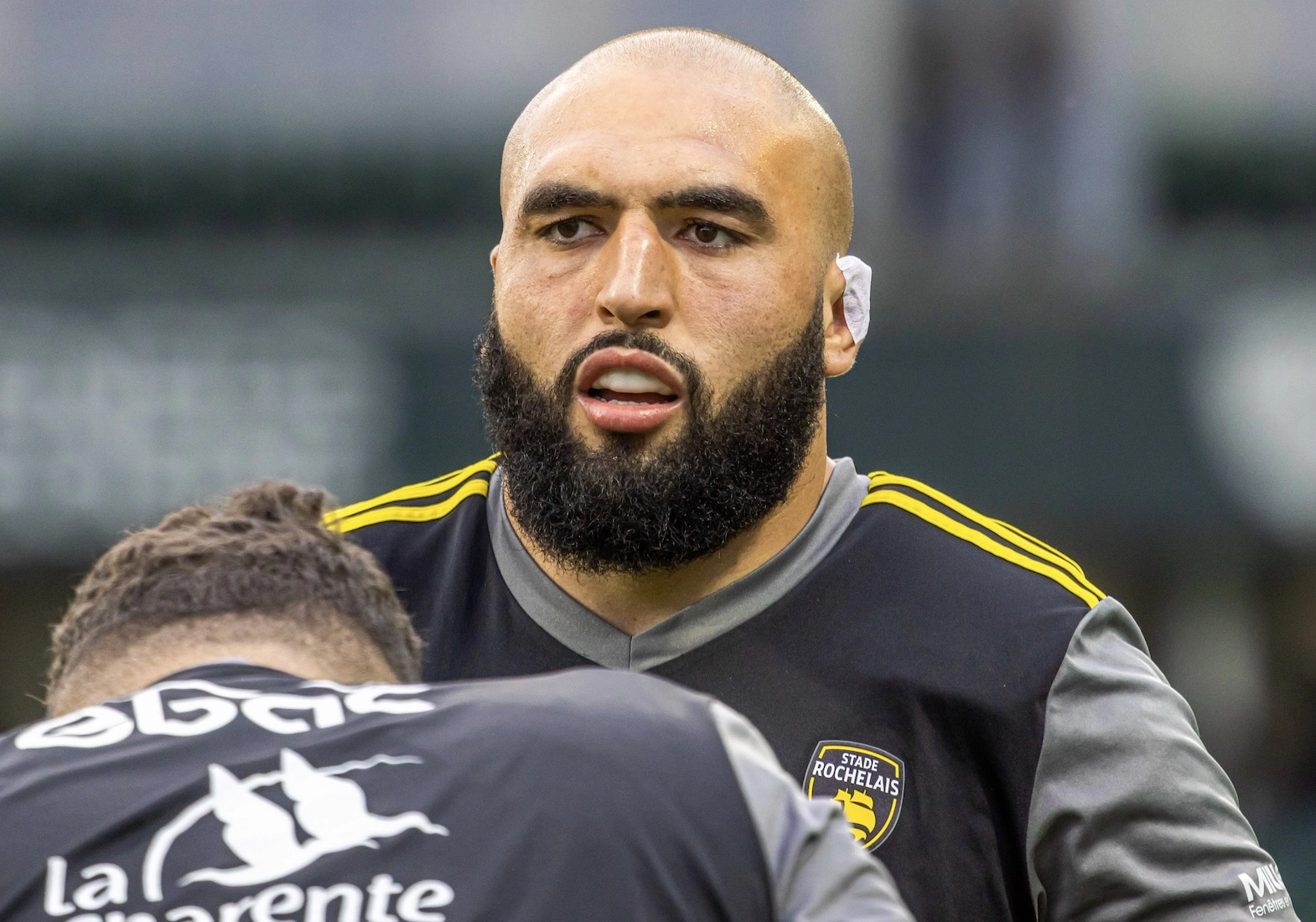 Stade Rochelais : Reda Wardi, Jack Nowell et Ulupano Seuteni de retour contre Toulon