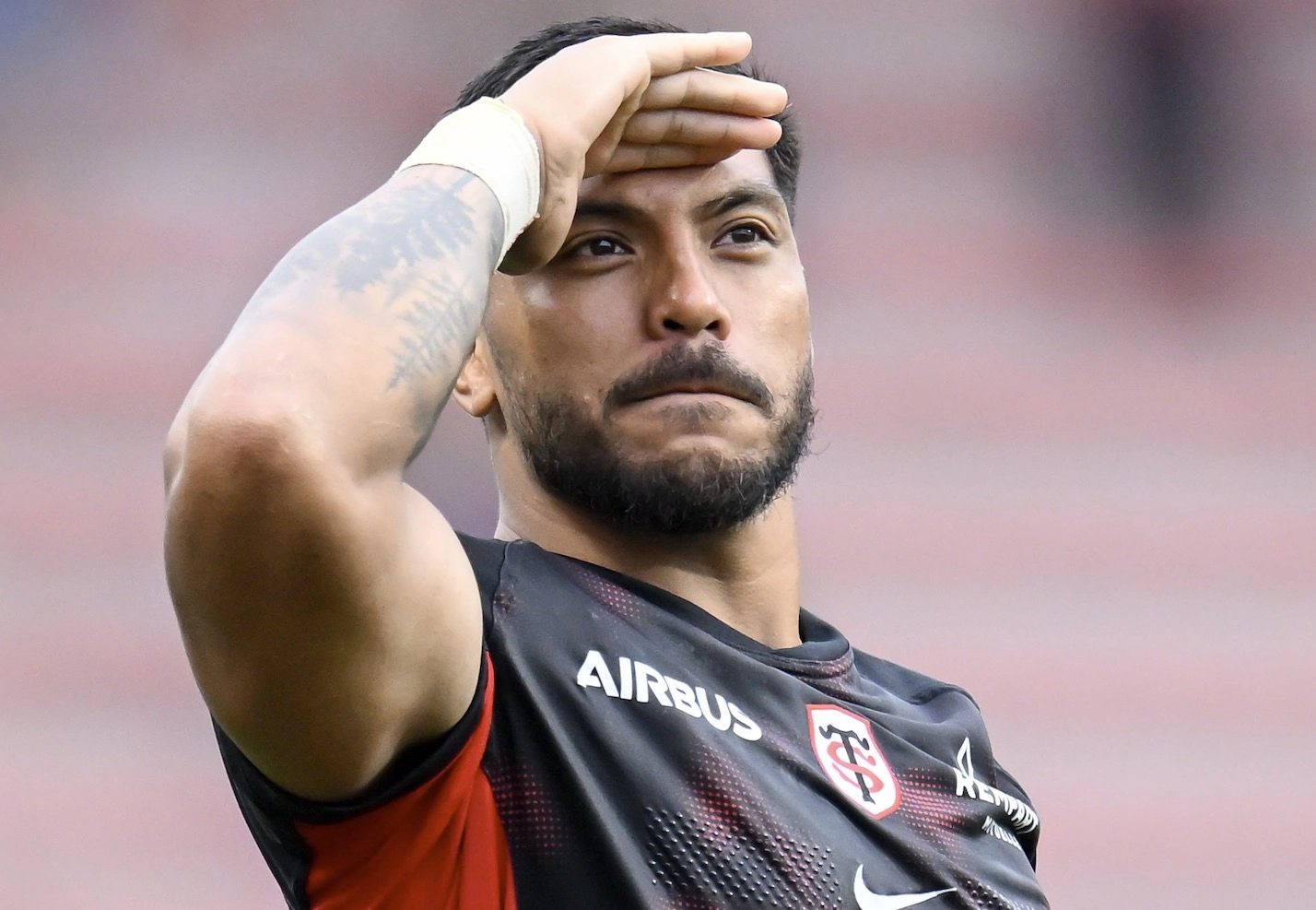Stade Toulousain : 